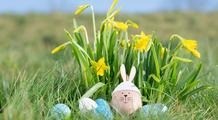 Météo Pâques 2026 : une chasse aux œufs au frais ? Premières tendances