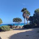 Cala Nova 25/03/2026