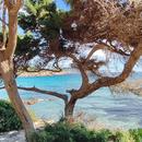 Cala Nova 25/03/2026