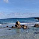 Cala Nova 25/03/2026