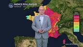 Pollens et allergies : pic très élevé ce vendredi avec le retour du soleil après les gelées