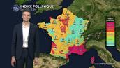 Pollens et allergies : un risque qui diminue sur de nombreuses régions ce samedi