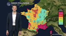 Pollens et allergies : un risque qui diminue sur de nombreuses régions ce samedi