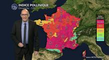 Pollens et allergies : un risque en baisse au nord dimanche, vigilance maintenue au sud malgré le vent