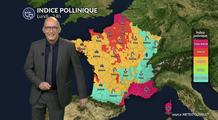 Pollen et allergies : pluie, fraîcheur et vent freinent les pollens, mais le cyprès reste sous surveillance en Méditerranée lundi