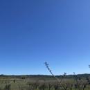 Montpezat 29/03/2026