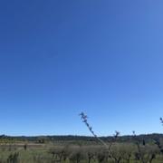 Montpezat 29/03/2026