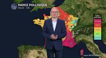 Pollens : vent et météo contrastée, une journée difficile ce mardi