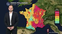 Pollens et allergies : un indice pollinique encore élevé dans de nombreuses régions ce mercredi