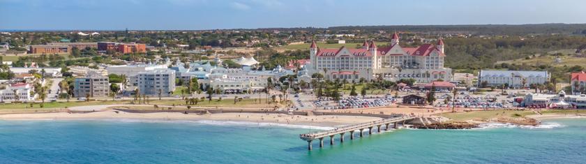 Port Elizabeth en Afrique du Sud : cap sur l’été austral, entre faune marine spectaculaire et horizons océaniques