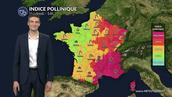 Pollens et allergies : un indice pollinique très élevé au sud-est, plus faible au nord-ouest ce vendredi