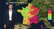 Pollens et allergies : un indice pollinique très élevé au sud-est, plus faible au nord-ouest ce vendredi