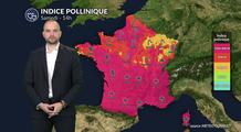 Pollens et allergies : risque marqué au sud, plus limité au nord