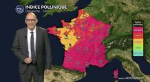 Pollens et allergies : un risque pollinique très élevé dans de nombreuses régions pour ce dimanche de Pâques