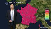 Pollens et allergies : indice pollinique maximal pour ce lundi de Pâques sur l'ensemble du pays