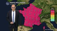 Pollens et allergies : indice pollinique maximal pour ce lundi de Pâques sur l'ensemble du pays