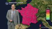 Pollens en France mardi : chaleur précoce et soleil relancent le risque allergique sur une large moitié sud et l’ouest