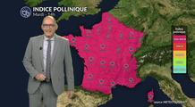 Pollens en France mardi : chaleur précoce et soleil relancent le risque allergique sur une large moitié sud et l’ouest