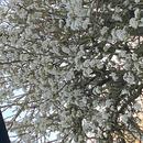 Bollezeele 07/04/2026