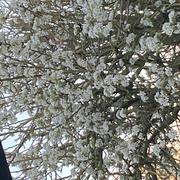 Bollezeele 07/04/2026