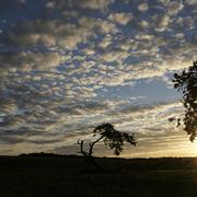 Châteauvillain 14/11/2010