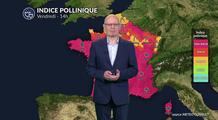 Pollens et allergies : encore une journée difficile ce vendredi avant l'amélioration du week-end