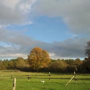 Parennes 14/11/2010