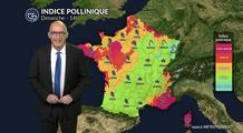 Pollens : chute des concentrations à l’est sous la pluie, vigilance maintenue à l’ouest malgré un net rafraîchissement