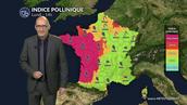 Pollens : pluies et fraîcheur freinent les pollens à l’est, mais vigilance maintenue dans l’ouest