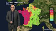 Pollens : pluies et fraîcheur freinent les pollens à l’est, mais vigilance maintenue dans l’ouest