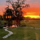 Germigny-des-Prés 12/04/2026