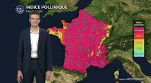 Pollens et allergies : un indice pollinique très élevé sur de nombreuses régions ce mardi avec le retour du soleil