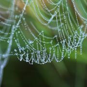 Châteauvillain 14/11/2010