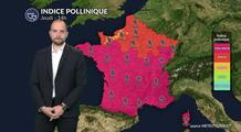 Pollens et allergies : un pic généralisé attendu demain sous un temps doux et ensoleillé