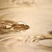 Châteauvillain 13/11/2010