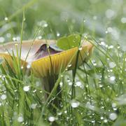 Châteauvillain 13/11/2010