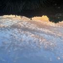 Parentis-en-Born 15/04/2026