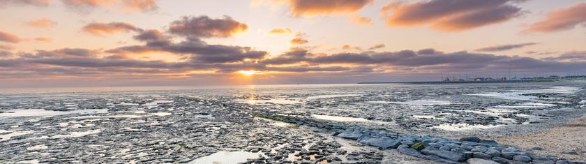 Mer des Wadden : la grande navigation du printemps entre sable, marées et îles du Nord