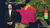 Pollens et allergies : vigilance maximale demain avec un risque allergique au plus haut