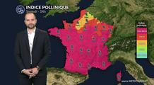 Pollens et allergies : vigilance maximale demain avec un risque allergique au plus haut