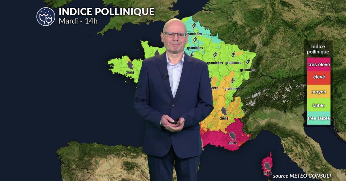 Pollens et allergies pour ce mardi: risque maximal dans le sud tandis que le nord respire sous la pluie
