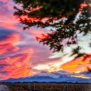 Perpignan 18/04/2026