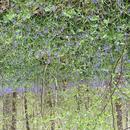 Pontarmé 19/04/2026