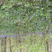 Pontarmé 19/04/2026