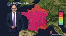 Pollens et allergies  : un lundi contrasté entre fraîcheur au nord et risque allergique marqué au sud