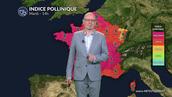 Pollens et allergies : pic pollinique ce mardi 21 avril 2026