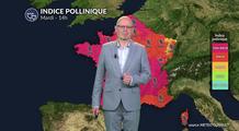 Pollens et allergies : pic pollinique ce mardi 21 avril 2026