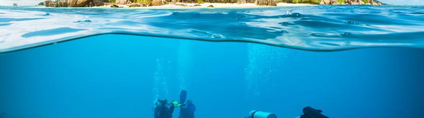 Plongée aux Seychelles : un sanctuaire sous-marin parmi les plus spectaculaires de l’océan Indien