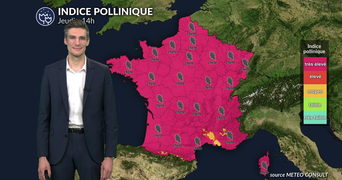 Pollens et allergies ce jeudi : un temps ensoleillé et une douceur printanière, favorisant la dispersion des pollens