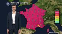 Pollens et allergies ce jeudi : un temps ensoleillé et une douceur printanière, favorisant la dispersion des pollens